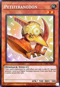 CR01-AE023 Petiteranodon [R]