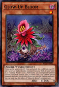 BLZD-AE082 Glow-Up Bloom [C]