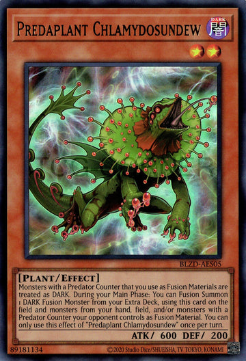 BLZD-AES05 Predaplant Chlamydosundew [UR]