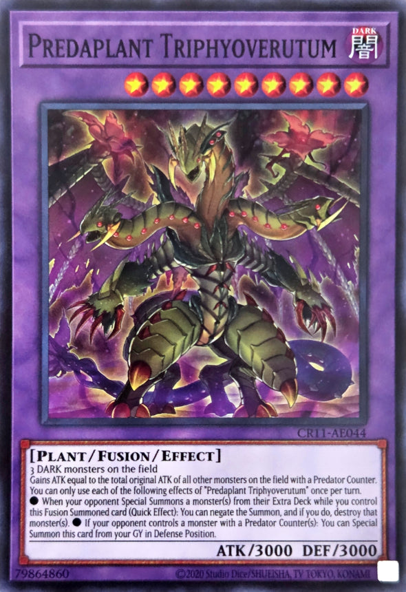 CR11-AE044 Predaplant Triphyoverutum [SR]