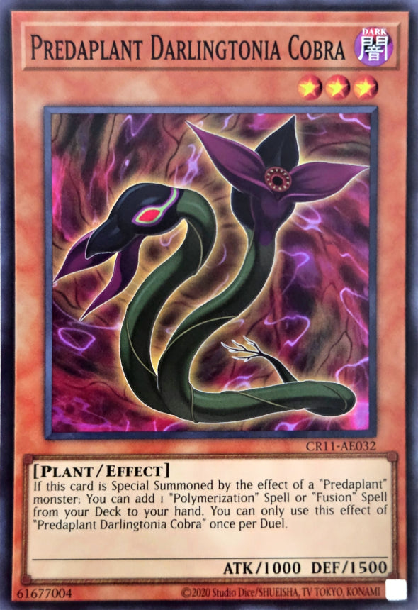 CR11-AE032 Predaplant Darlingtonia Cobra [SR]