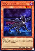 LPG2-JP017 Neo-Spacian Dark Panther [UR]