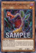 BLZD-AEC40 Predaplant Cordyceps [C]