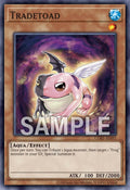 CORI-AE097 Tradetoad [C]