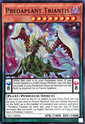 CR11-AE036 Predaplant Triantis [SR]