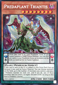 CR11-AES15 Predaplant Triantis [SCR]