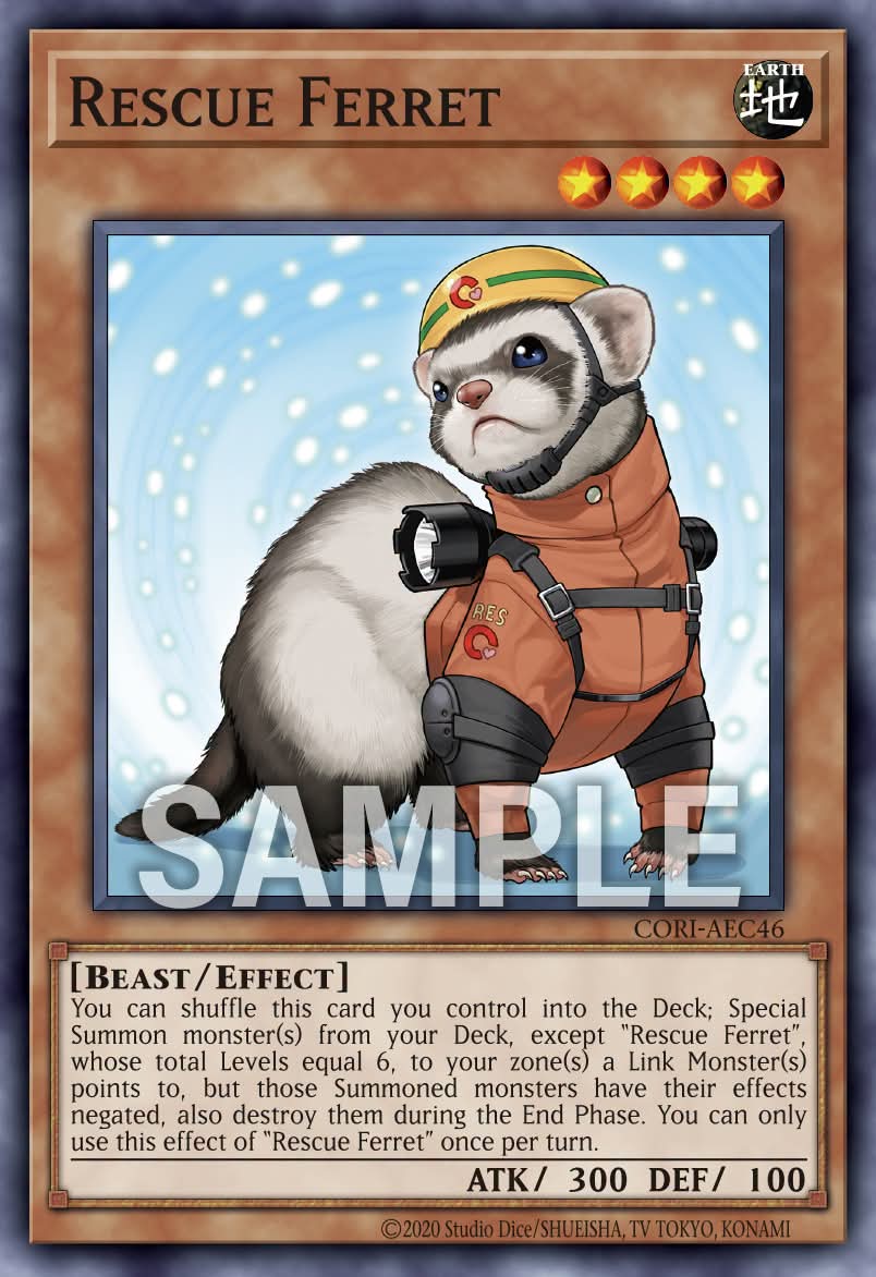 CORI-AEC46 Rescue Ferret [C]