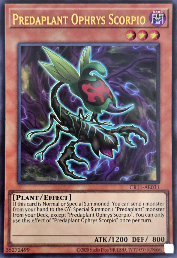 CR11-AE031 Predaplant Ophrys Scorpio [UR]