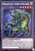 CR11-AE045 Predaplant Ambulomelides [SCR]
