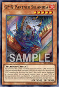 CR12-AE068 GMX Partner Selandea [SR]