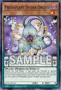 BLZD-AEC42 Predaplant Spider Orchid [C]