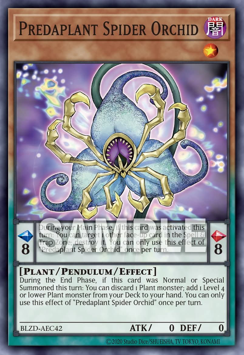 BLZD-AEC42 Predaplant Spider Orchid [C]