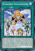 BPRO-AE116 Synchro Fellowship [C]