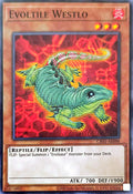 CR01-AE098 Evoltile Westlo [C]