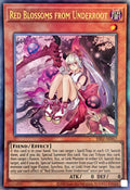 ES02-AE017 Red Blossoms from Underroot [UL]