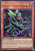 CR11-AES10 Predaplant Ophrys Scorpio [UR]