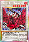 CR09-AES14 Black Rose Dragon [PSR]