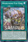 BPRO-AE062 Whirlwind Fur Hire [C]