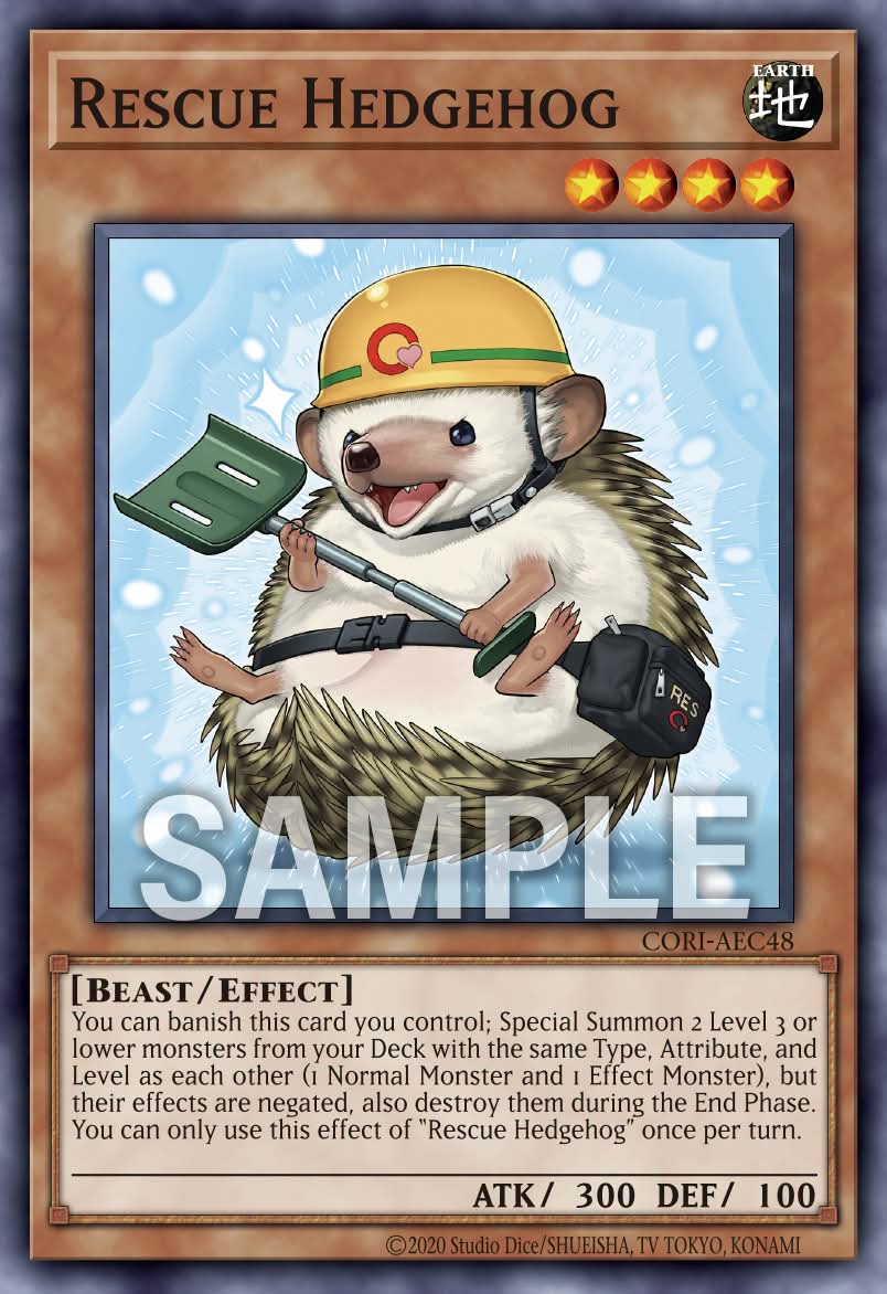 CORI-AEC48 Rescue Hedgehog [C]