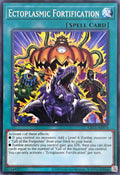 CR11-AE074 Ectoplasmic Fortification [C]