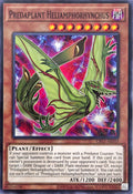 CR11-AE033 Predaplant Heliamphorhynchus [C]