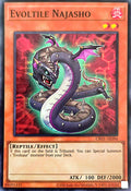 CR01-AE096 Evoltile Najasho [SR]