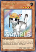 CORI-AES07 Rescue Cat [SCR]