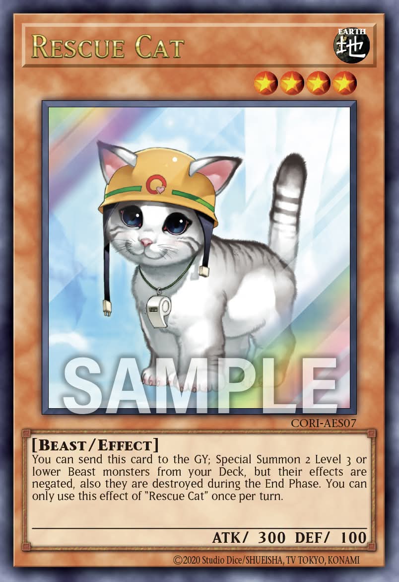 CORI-AES07 Rescue Cat [SCR]