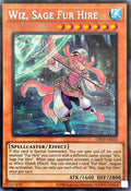 CR10-AES20 Wiz, Sage Fur Hire [SCR]