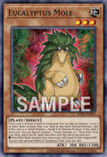 BPRO-AE097 Eucalyptus Mole [C]