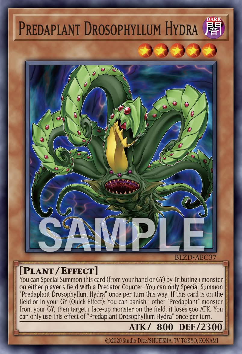 BLZD-AEC37 Predaplant Drosophyllum Hydra [C]
