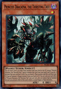 BLZD-AE027 Princess Dracaena, the Thirsting Tree [UR]