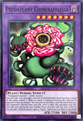 CR11-AE043 Predaplant Chimerafflesia [SR]