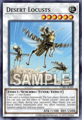 CORI-AE109 Desert Locusts [C]