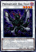 BLZD-AE039 Predaplant Bal Teah [C]