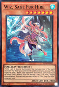 CR10-AE051 Wiz, Sage Fur Hire [SR]